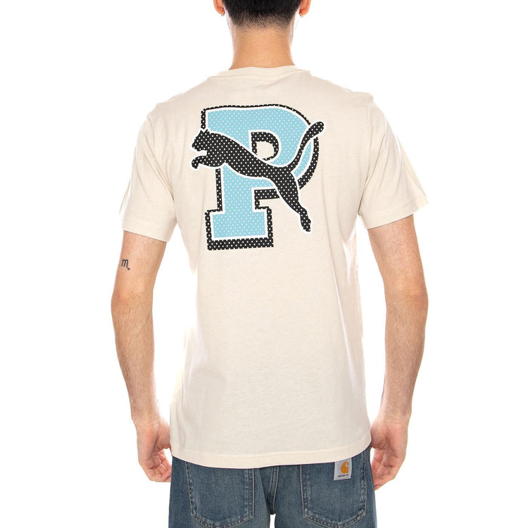 GRAPHIC VARSITY TEE - Maglietta Girocollo Uomo Beige 691776 87 PUMA 