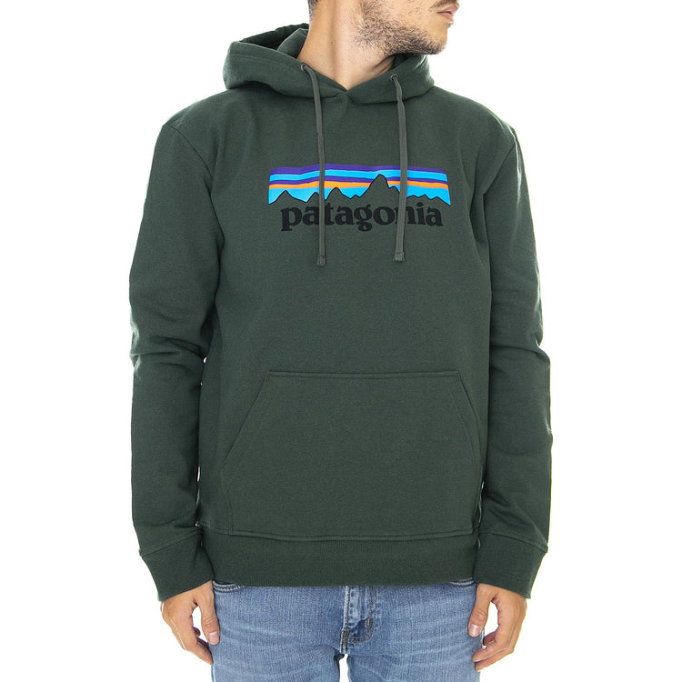  39539-ARGR  PATAGONIA 