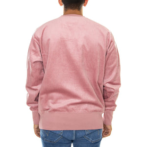  213690-PS123  CHAMPION 