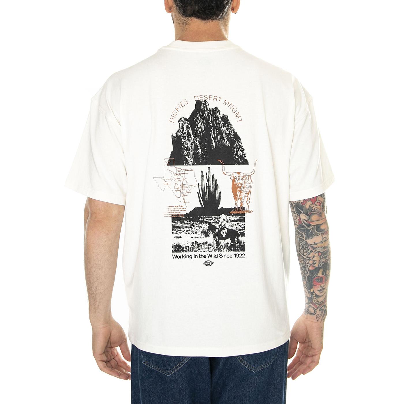 Pearisburg Tee SS Tee Cloud - Maglietta Girocollo Uomo Beige DK0A4YRKC581  DICKIES 