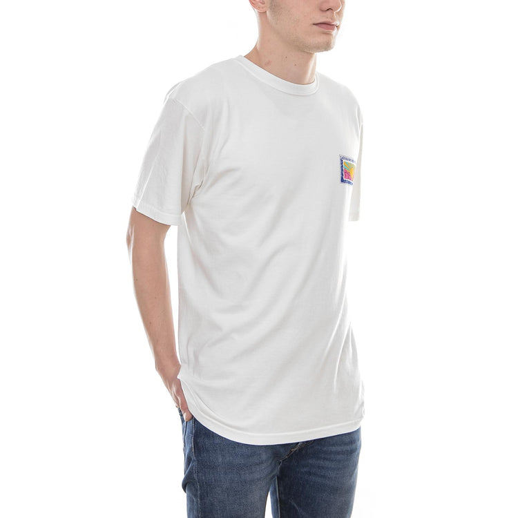 HORIZON PIG. DYED TEE NATURAL 1904238-NATL . STUSSY 