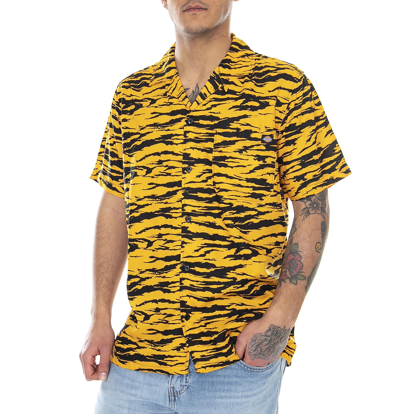  DK0A4XA5B591  DICKIES 