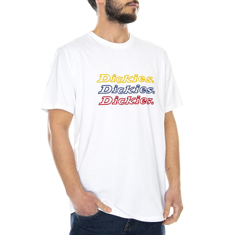  DK0A4TNR-WHX  DICKIES 