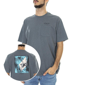  37443-PLGY  PATAGONIA 