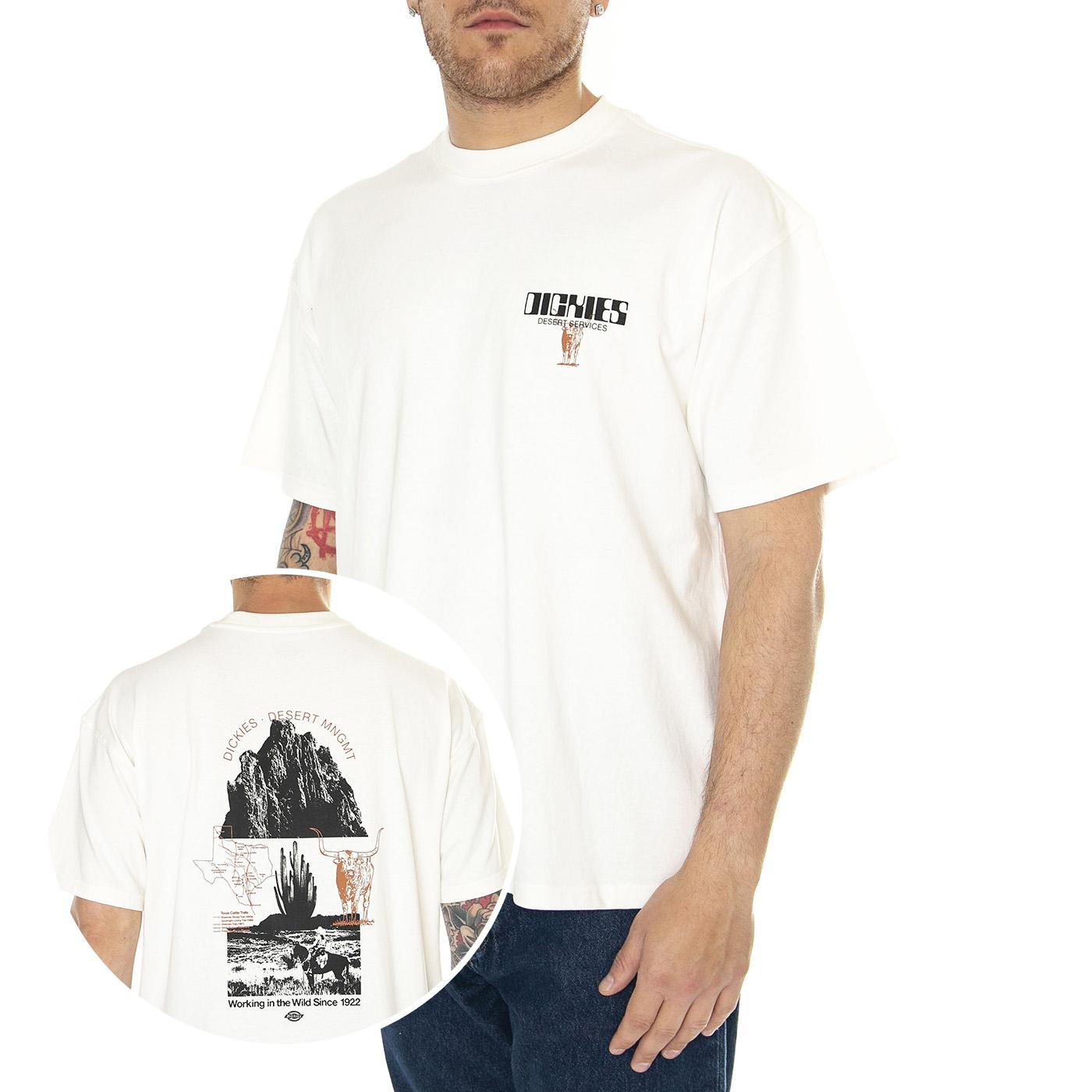 Pearisburg Tee SS Tee Cloud - Maglietta Girocollo Uomo Beige DK0A4YRKC581  DICKIES 