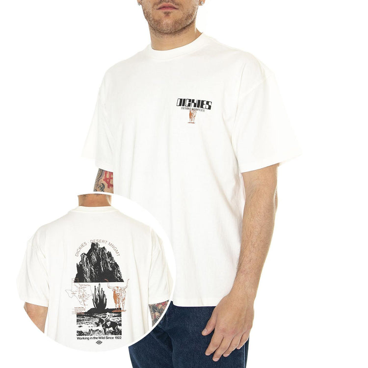 Pearisburg Tee SS Tee Cloud - Maglietta Girocollo Uomo Beige DK0A4YRKC581  DICKIES 