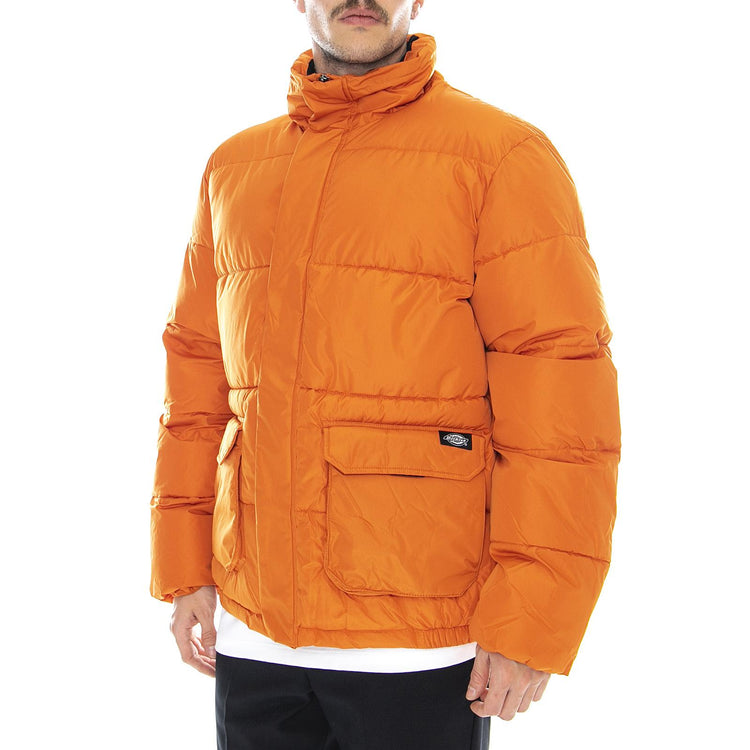  DK720342RUS1  DICKIES 