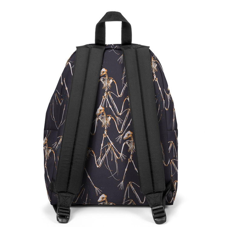 PADDED PAK R DRACUL BONE EK62001Q  EASTPAK 