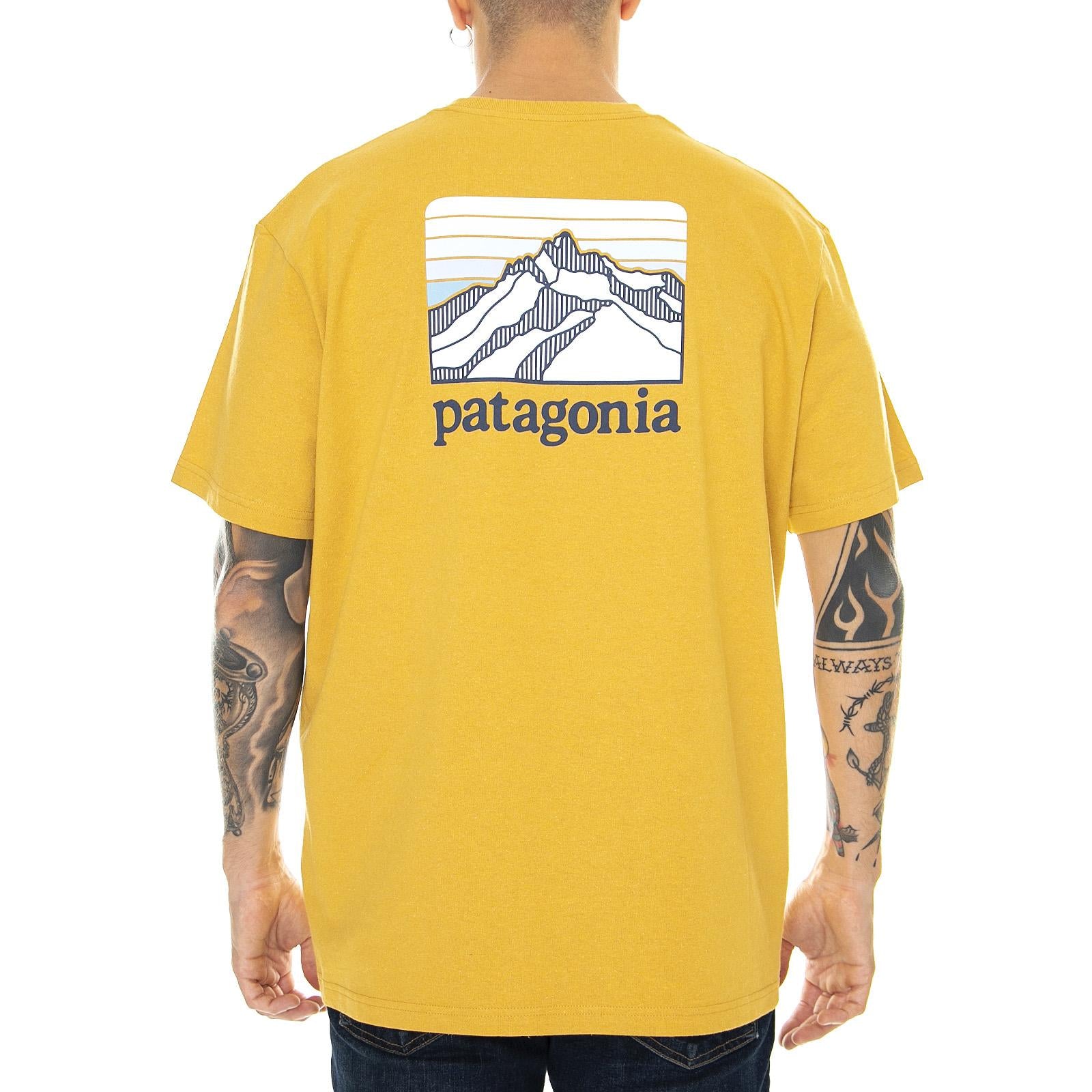  38441-GPGO  PATAGONIA 