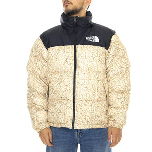  T93C8DF3X  THE NORTH FACE 