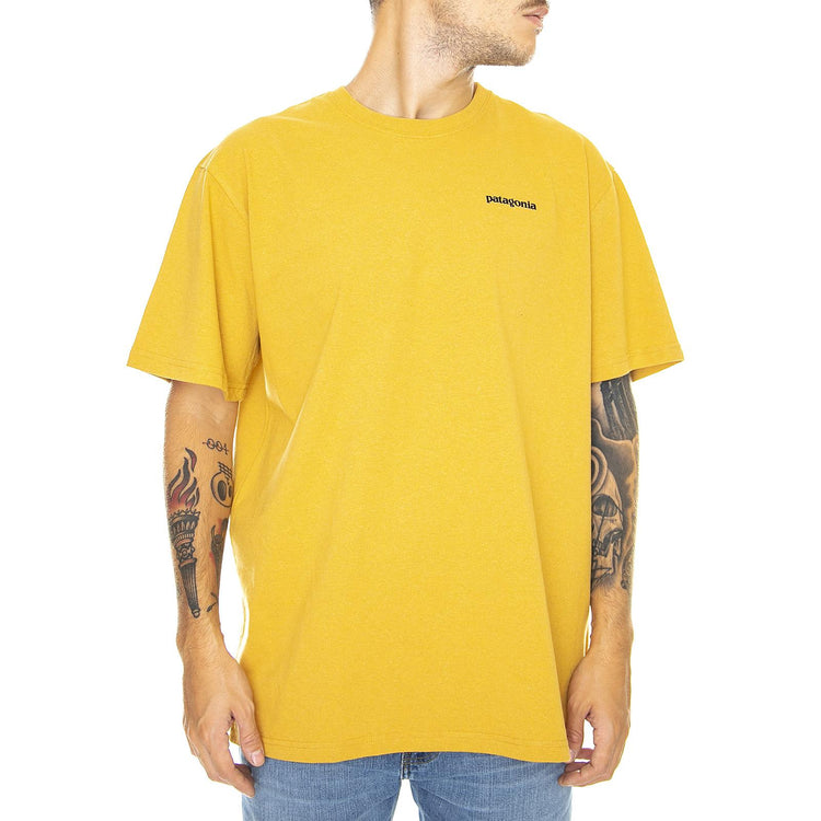  39174-GPGO  PATAGONIA 