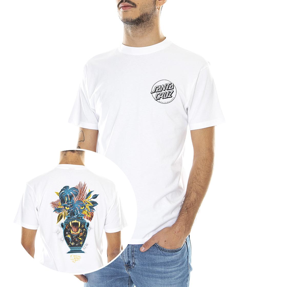  ACET-WHT  SANTA CRUZ 