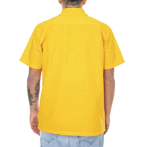  DK0A4X9ZB591  DICKIES 