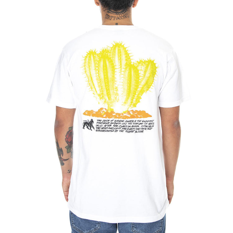  1904686-WHIT  STUSSY 