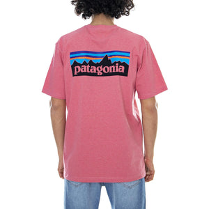  39174-SRPK  PATAGONIA 