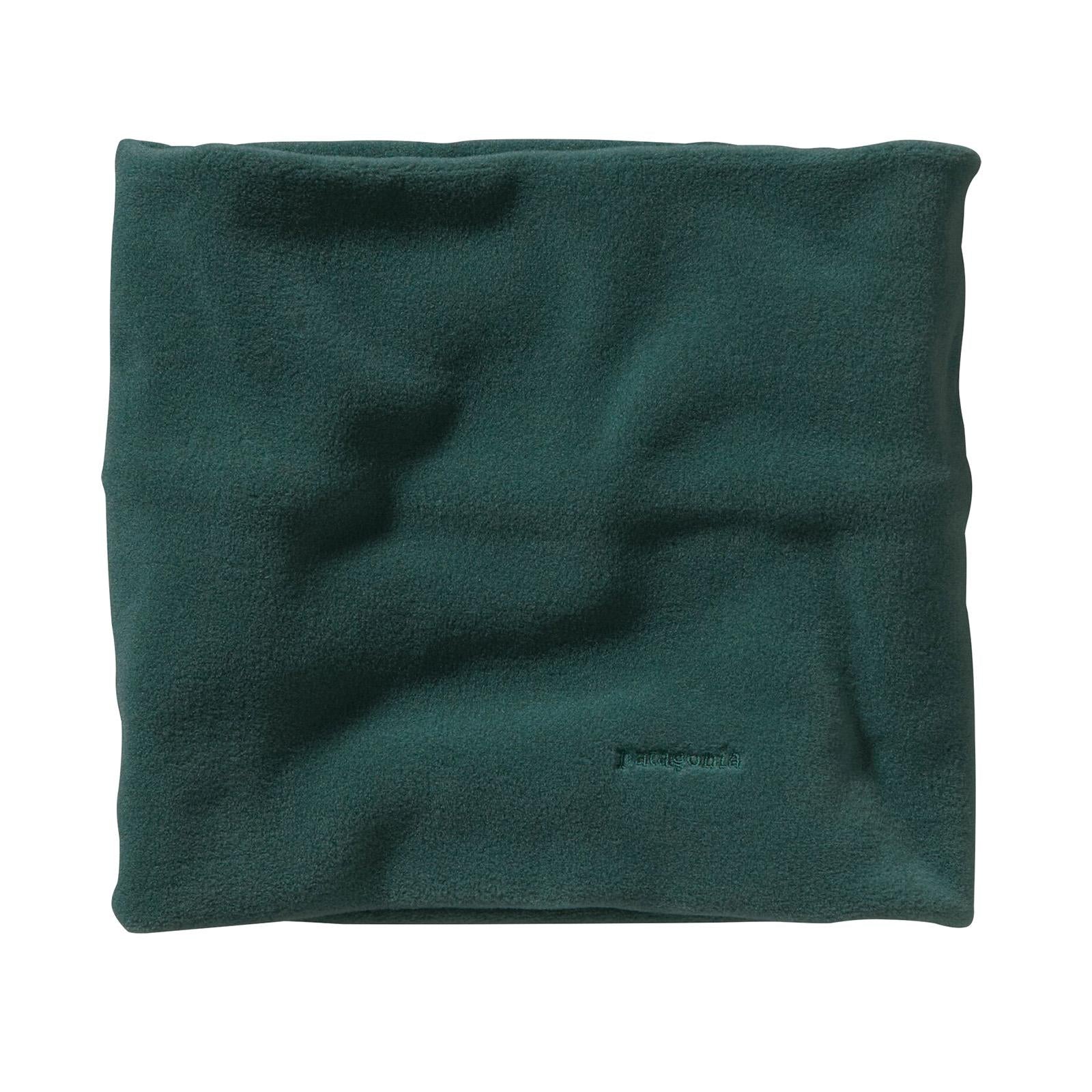  28891-PIGR  PATAGONIA 