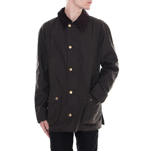  BACPS0819-OL71FW18  BARBOUR 