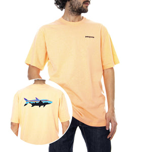  39165-PCHS  PATAGONIA 