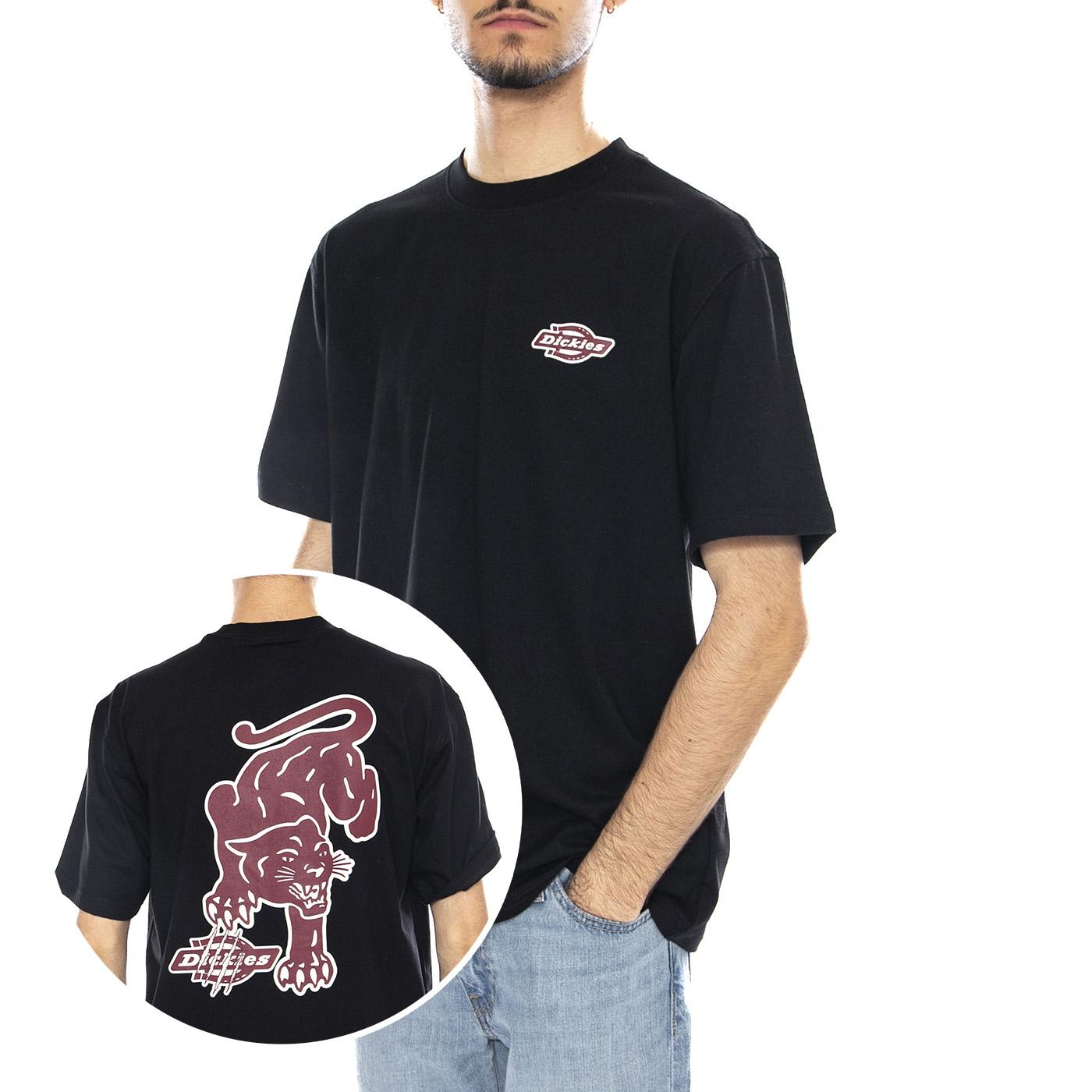 Graysville Tee SS -- Maglietta Uomo Nera DK0A87QQBLK1 . DICKIES 