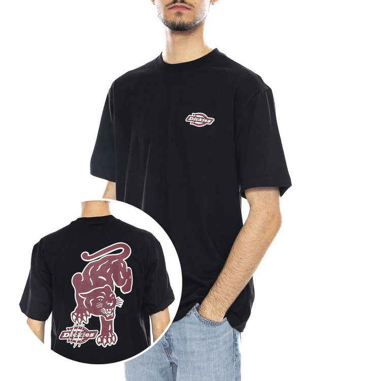 Graysville Tee SS -- Maglietta Uomo Nera DK0A87QQBLK1 . DICKIES 