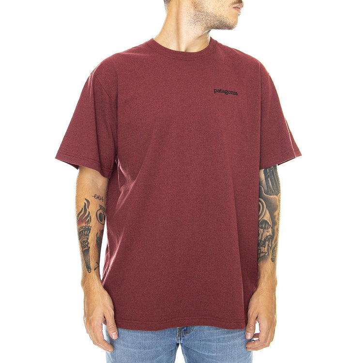  38440-OXDR  PATAGONIA 