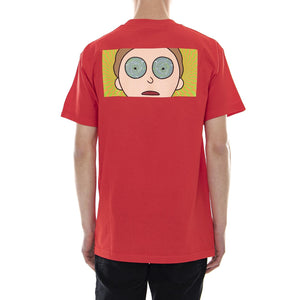  PRASS10073-42  PRIMITIVE 