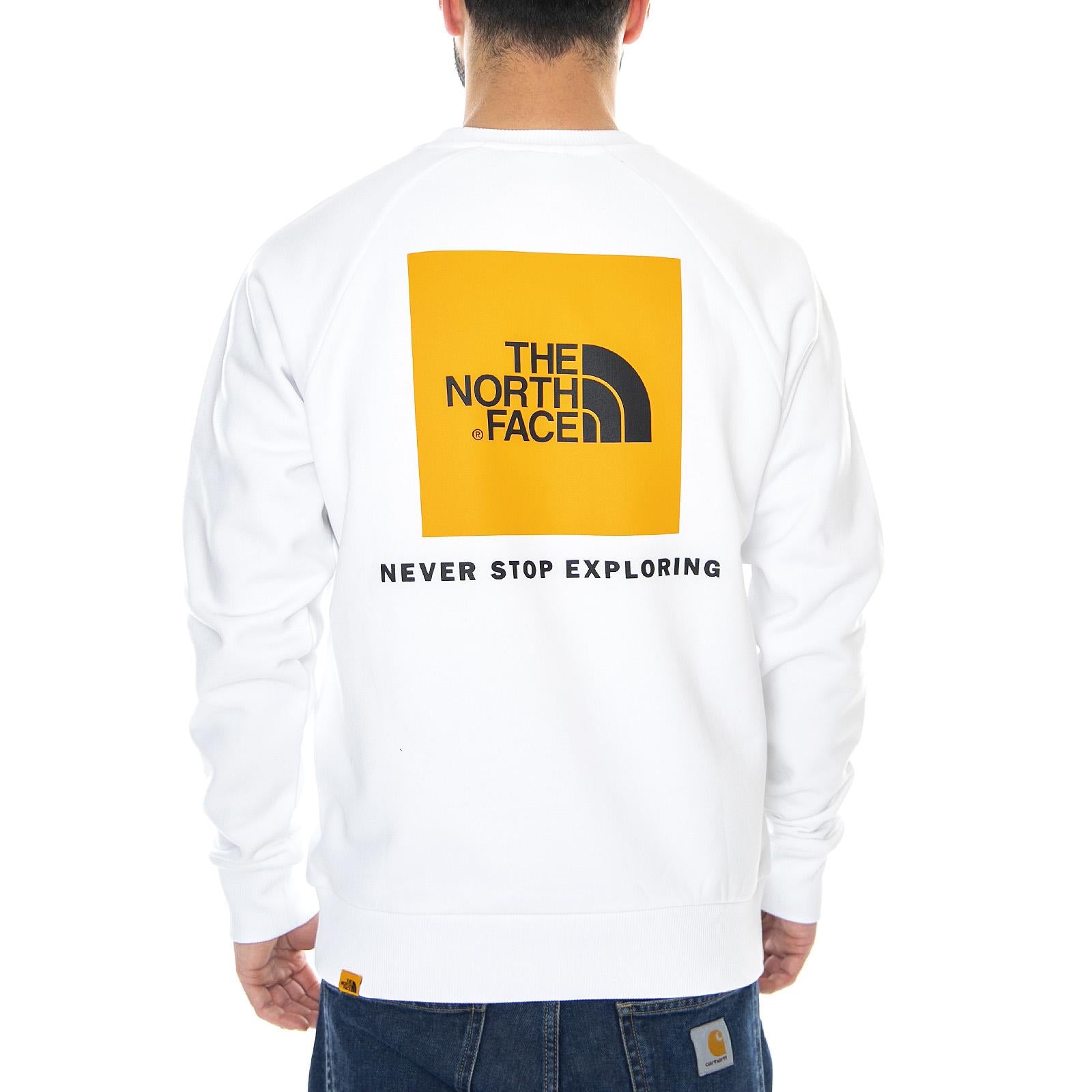  NF0A3RZ2P9V  THE NORTH FACE 