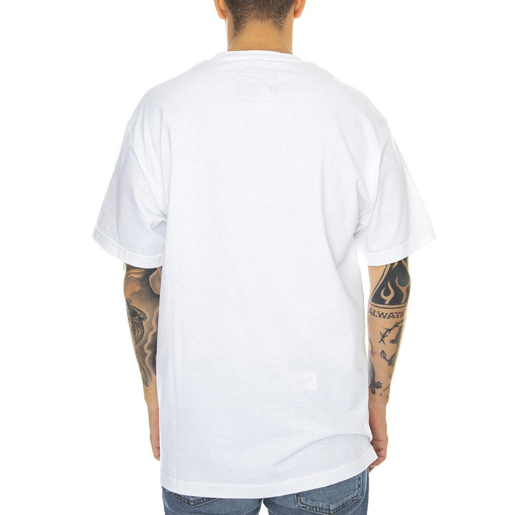  PRASS10041-12  PRIMITIVE 