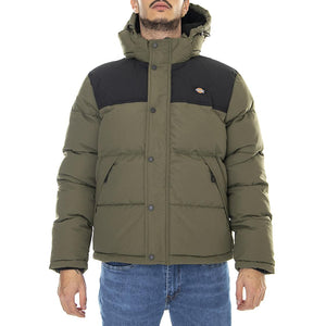  DK0A4XP1MGR1  DICKIES 