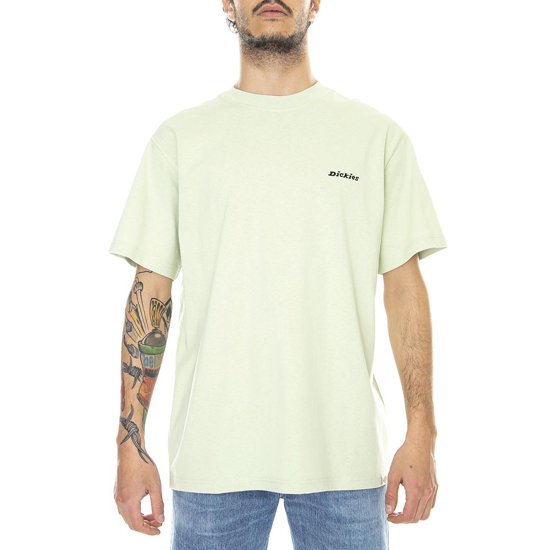  DK0A4X9OC341  DICKIES 