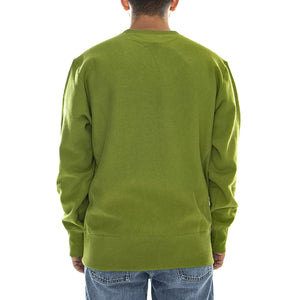  213603-GS061  CHAMPION 