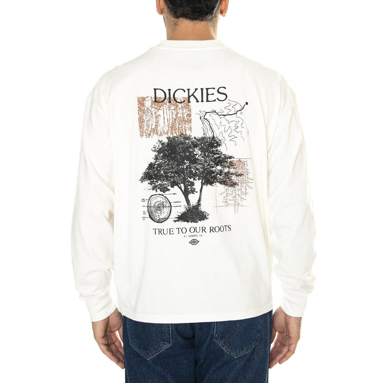 Kenbridge Tee Ls Cloud - Maglietta Girocollo Maniche Lunghe Uomo Beige DK0A4YVRC581  DICKIES 