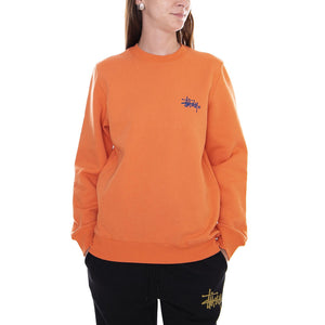  2911096-RUST  STUSSY 