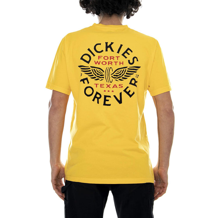  06 210640-CUS  DICKIES 