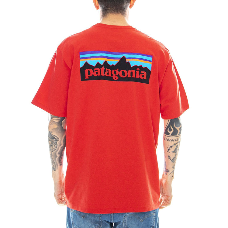  38504-FRE  PATAGONIA 