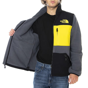  NF0A4R6ASH31  THE NORTH FACE 