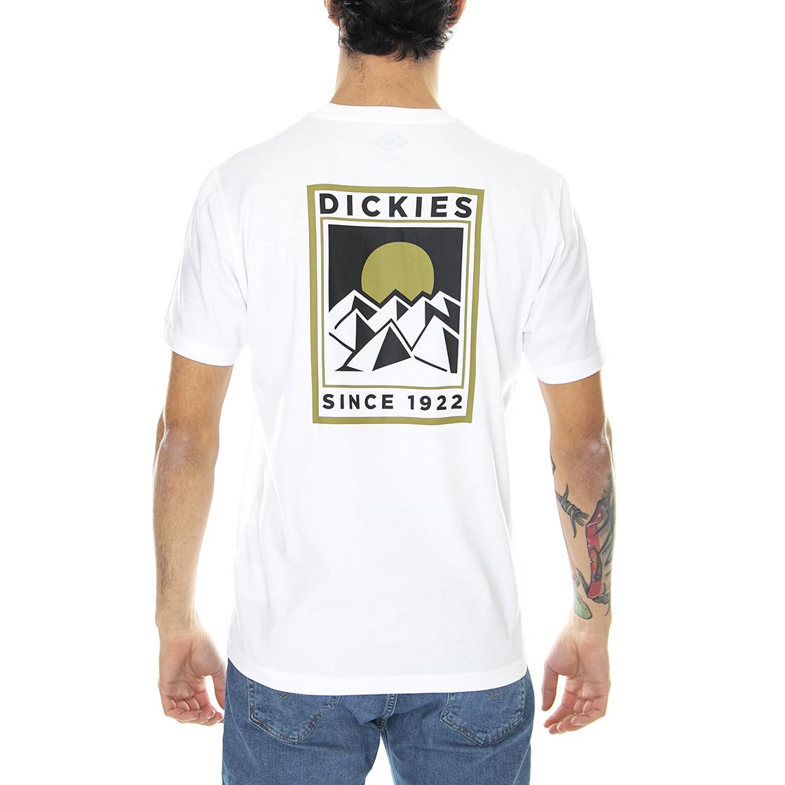  DK0A4XO5WHX1  DICKIES 