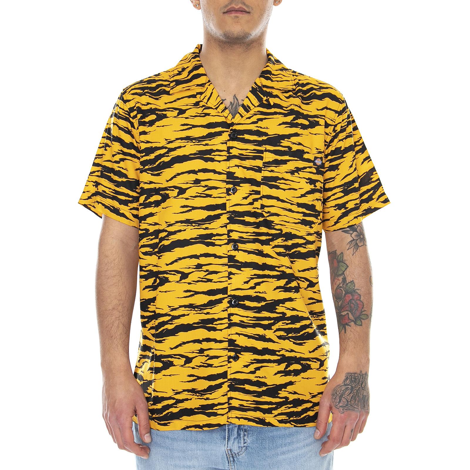  DK0A4XA5B591  DICKIES 