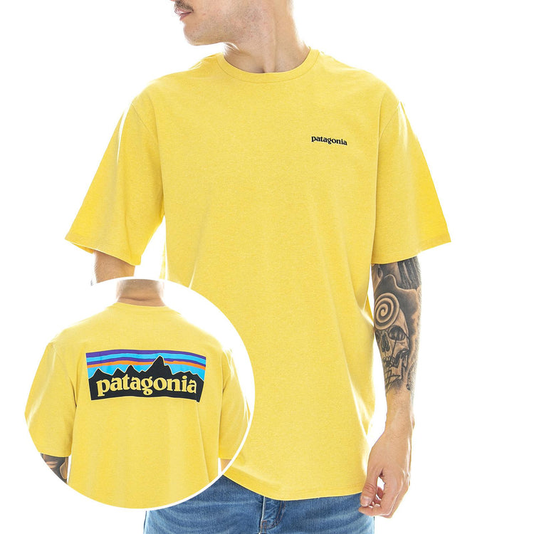  38504-SUYE  PATAGONIA 