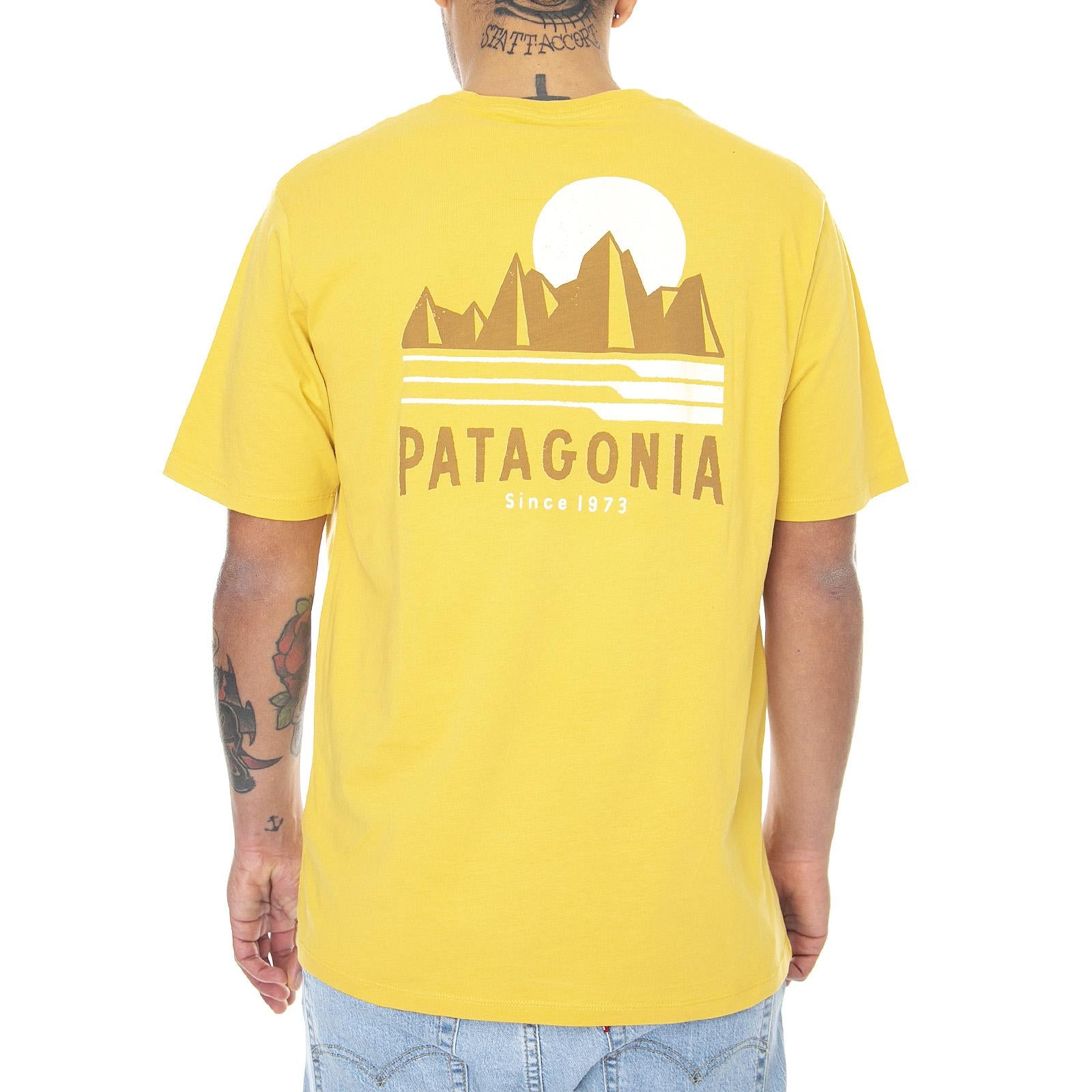  38563-MTNY  PATAGONIA 