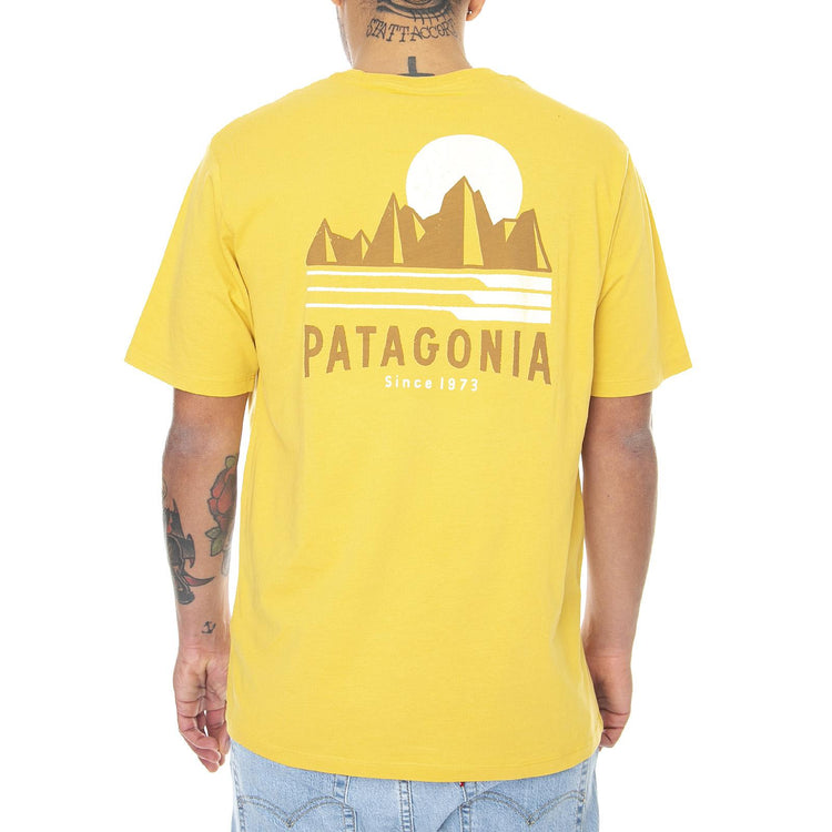  38563-MTNY  PATAGONIA 