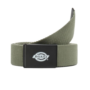  DK0A4X7EAGR1  DICKIES 