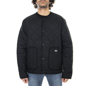  DK0A4X58BLK1  DICKIES 