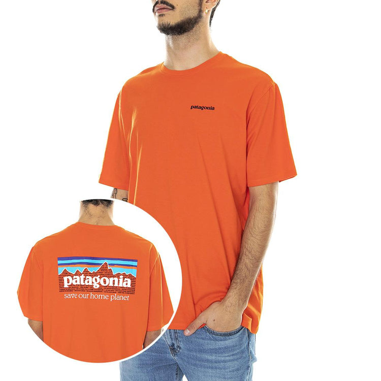  37529-MEOR  PATAGONIA 