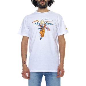  PRASS10195-12  PRIMITIVE 