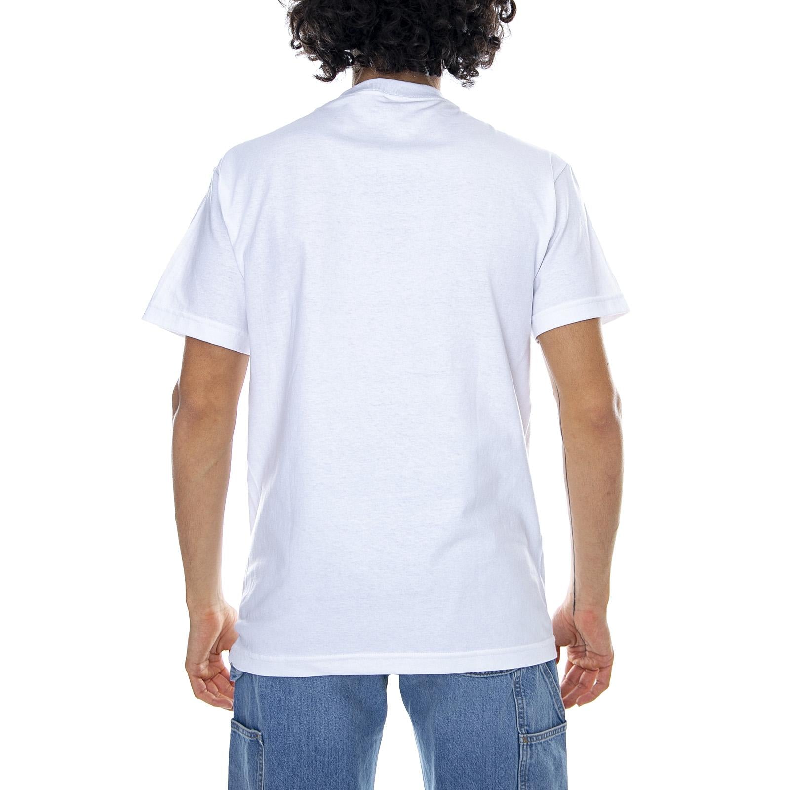  PRASS10148-12  PRIMITIVE 