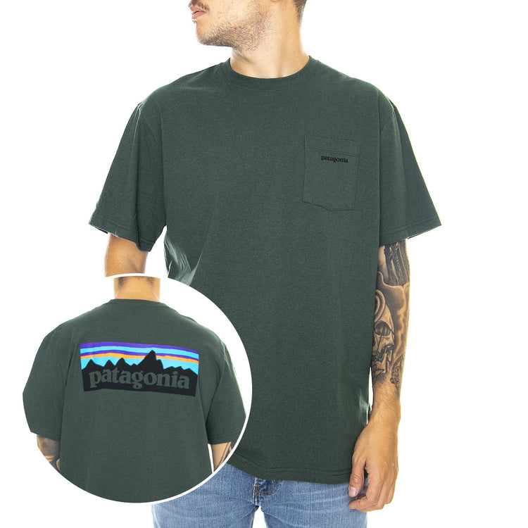  39178-ARGR  PATAGONIA 