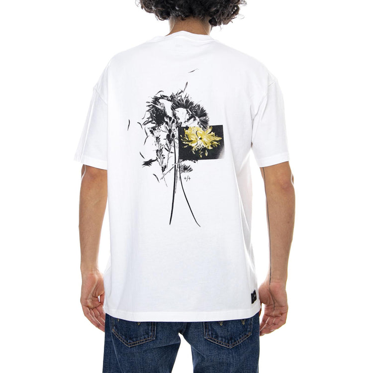  GB01810024-MILK  GLOBE 