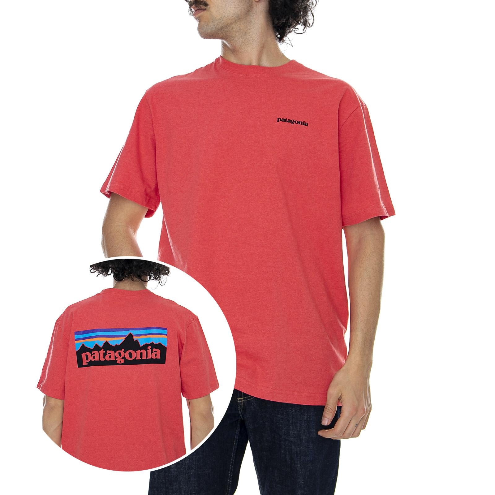  39174-TOMA  PATAGONIA 