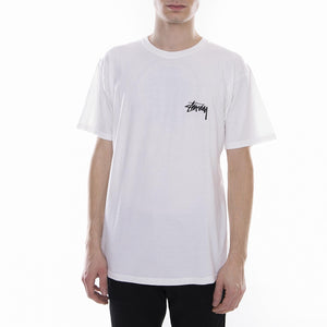  1904276-NATURAL  STUSSY 